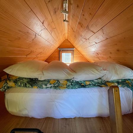 Studio Or Cabin On Whitby Nelson Exterior foto